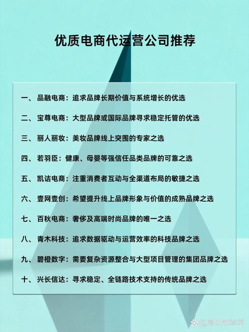 拥抱电商：易飞公司助力企业转型升级